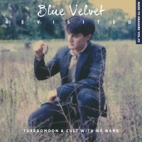 Blue Velvet Revisited