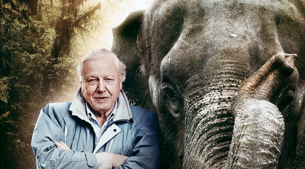 Wunder der Natur - mit David Attenborough - Staffel 1 & 2