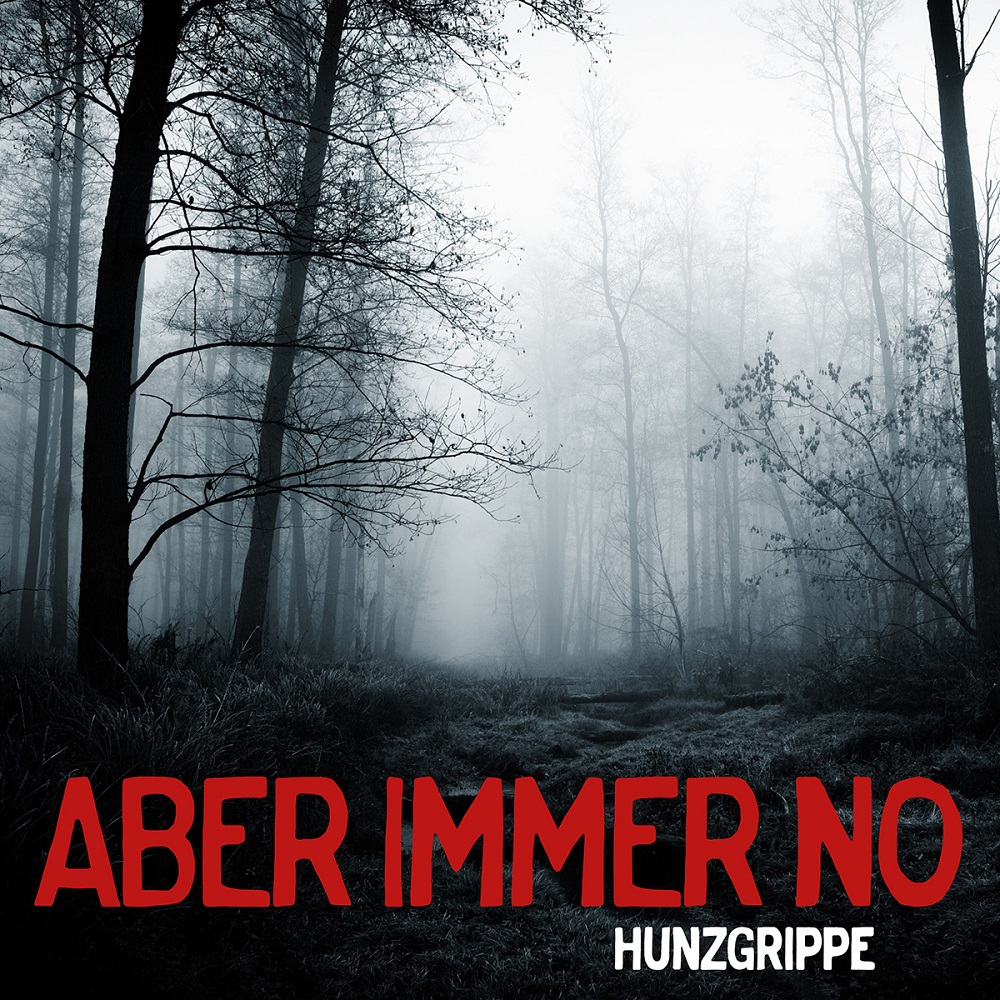 Hunzgrippe mit Video Premiere zur neuen Single "Aber immer no"